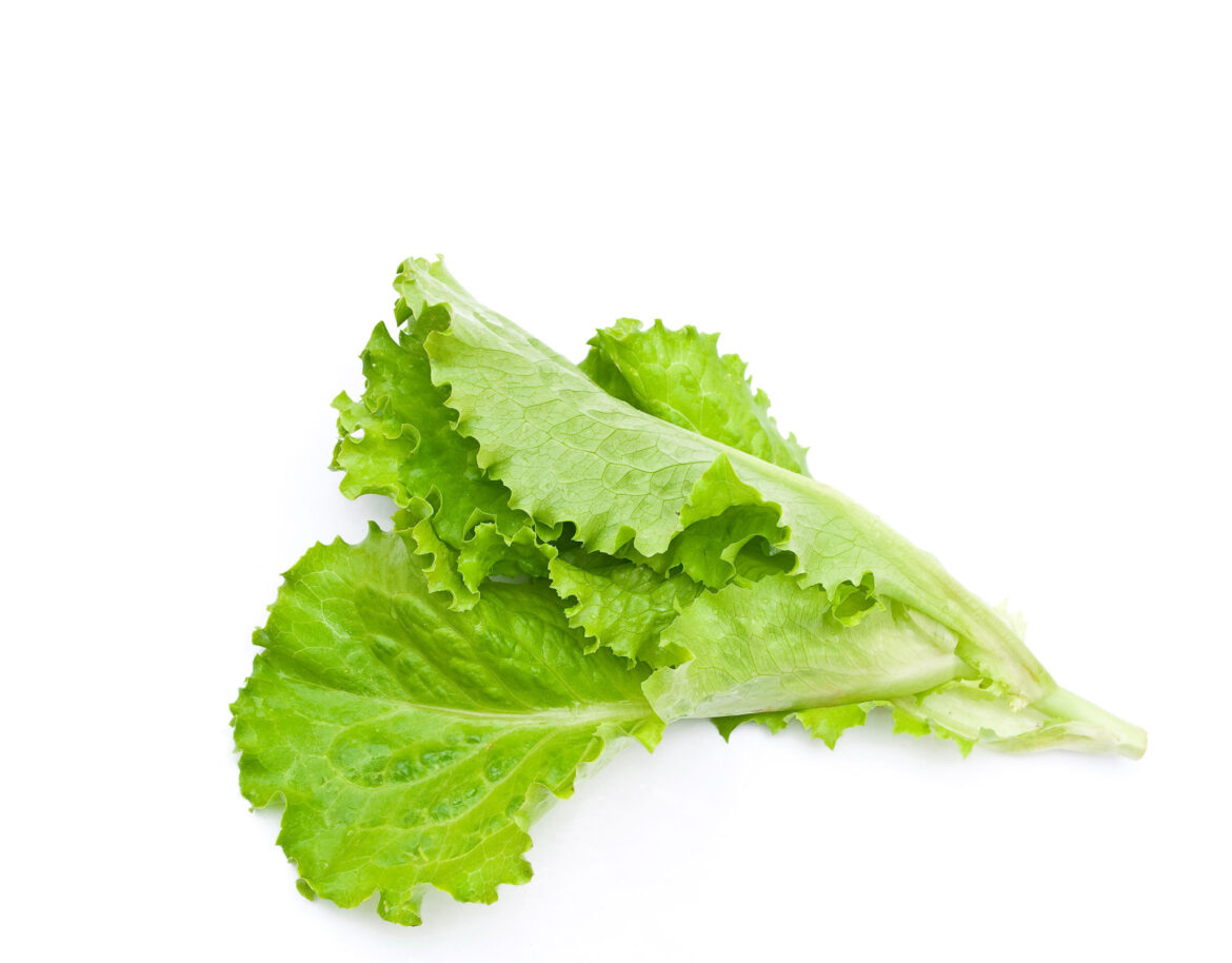 1fresh-green-lettuce-salad-2021-08-27-16-01-04-utc.jpg