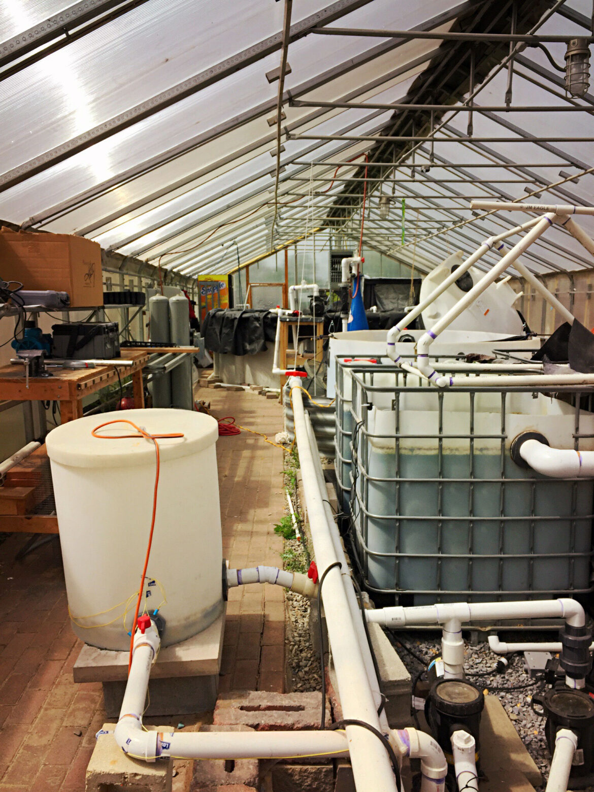 aquaponic-water-filtration-system_t20_yRraop.jpg