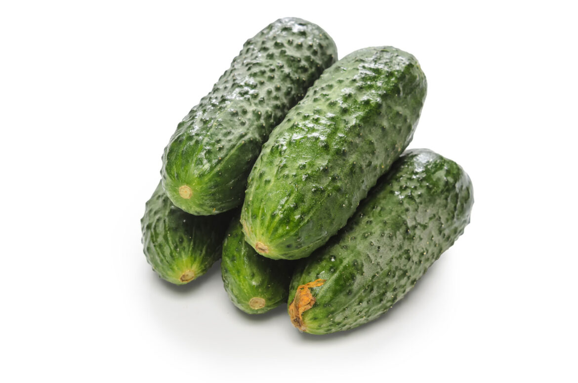 cucumbers-2021-09-04-04-59-06-utc.jpg