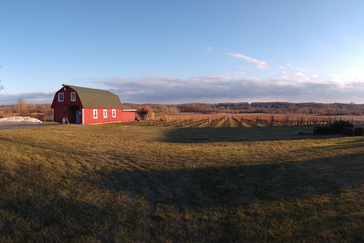 farm-wide-view-scaled.jpg