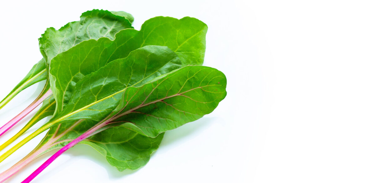 fresh-swiss-chard-on-a-white_t20_ZY1eeR.jpg