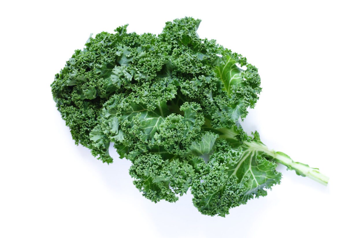 green-cabbage-kale-2021-08-26-16-54-21-utc.jpg
