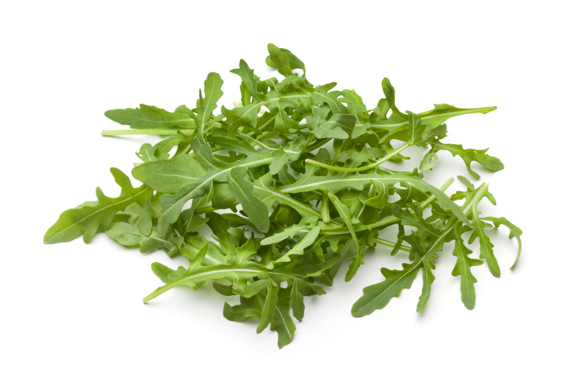 heap-of-fresh-arugula-leaves-2021-08-26-16-56-26-utc.jpg